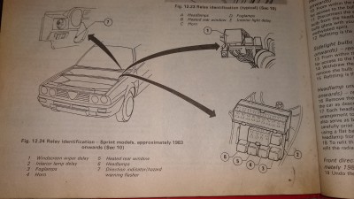 Haynes 1