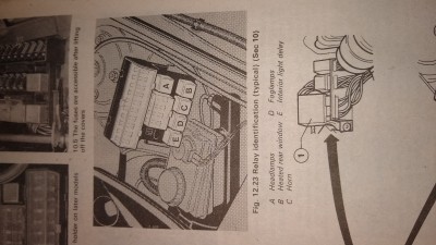 Haynes 2