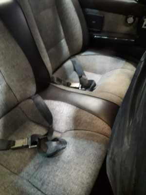 Static seat belts introduced for safety to the rear seats.