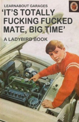 Ladybird book (3).JPG