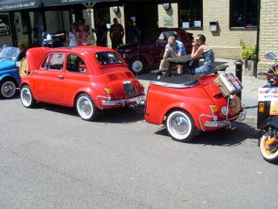 SL373729.JPG