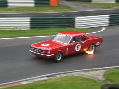 CIMG1205.JPG