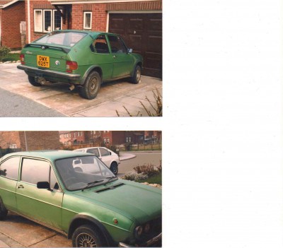 Green Sud ti.jpg