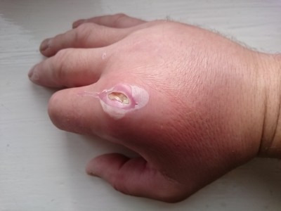 2015-11-01 11.07.39.jpg