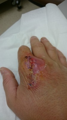 2015-11-16 10.32.16.jpg