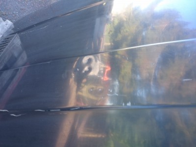 DSC_3142 (1280x960).jpg