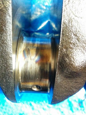 IMG_20160512_131326.jpg